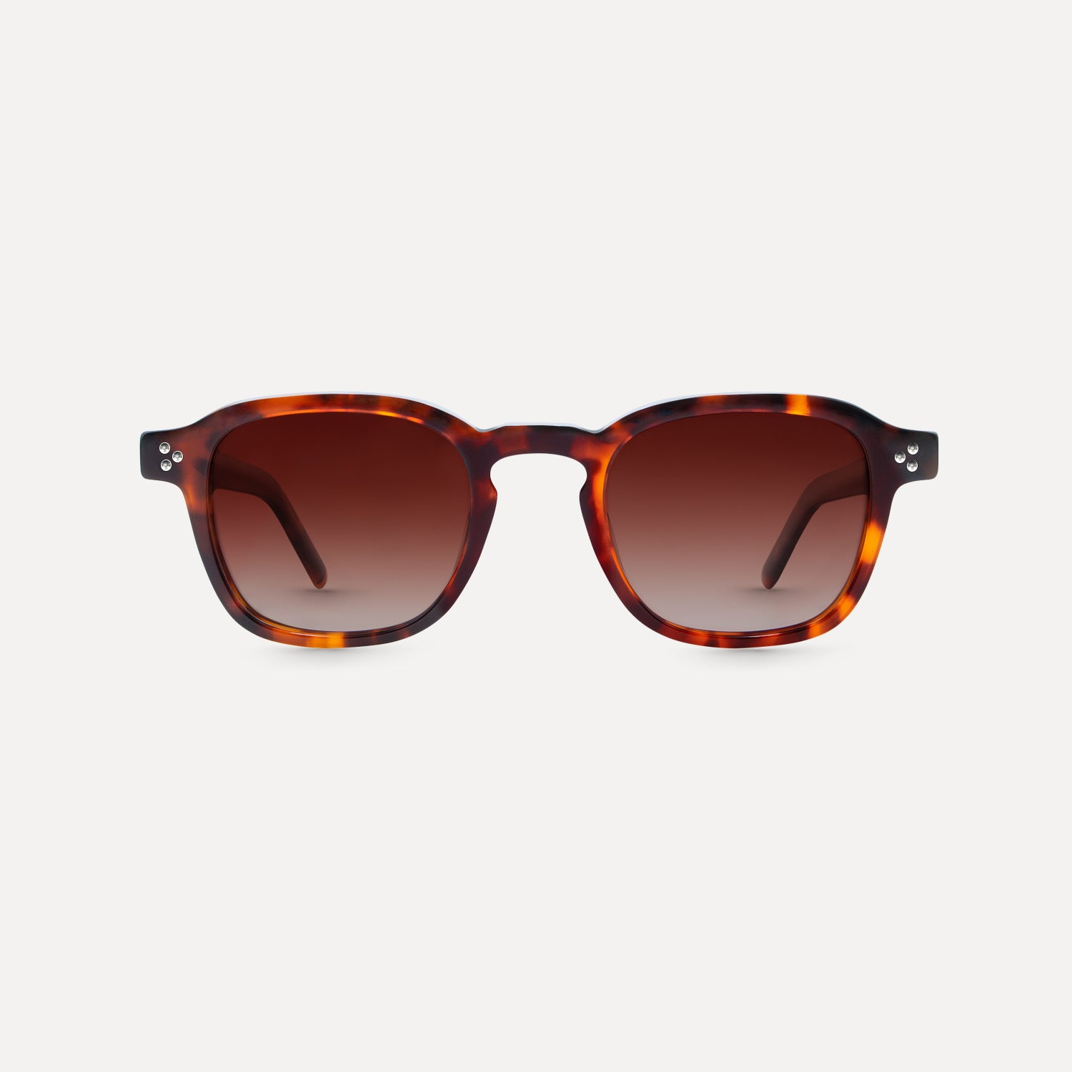 Aurelia - Tortoiseshell