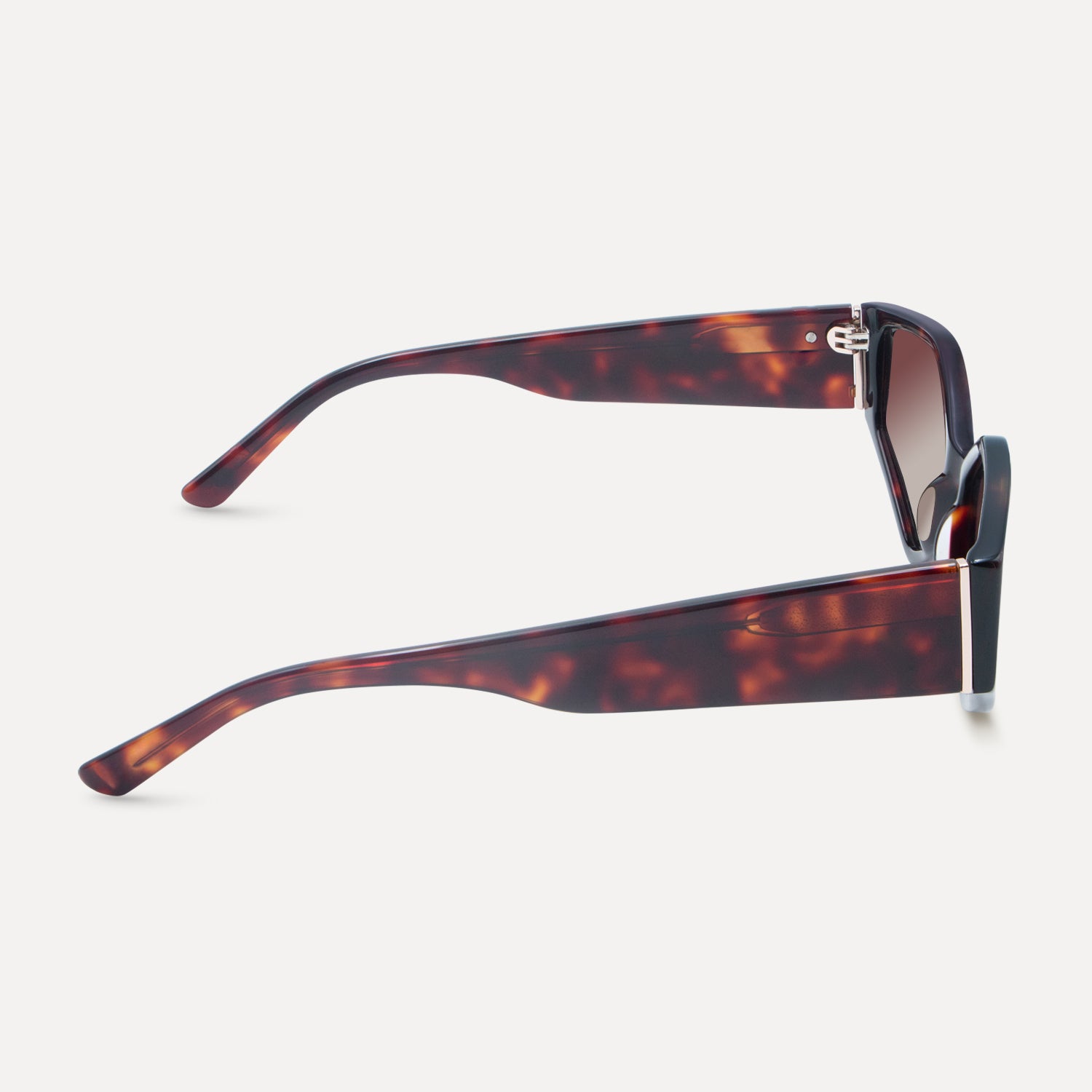 Medusa - Tortoiseshell