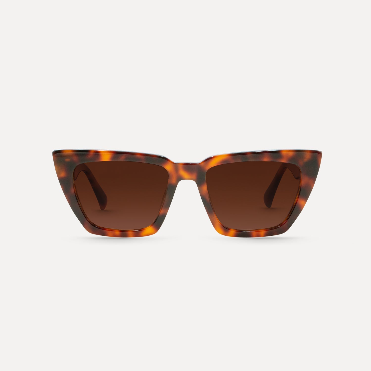 Cupid - Tortoiseshell